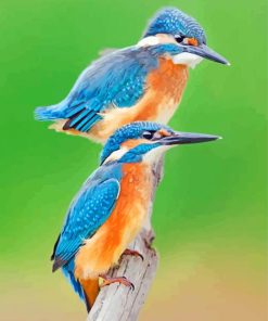 Blue Kingfisher paint by numbers