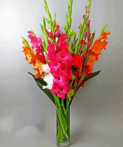 Bouquet Of Gladiola paint by number