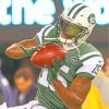 Brandon Marshall New York Jets paint by number