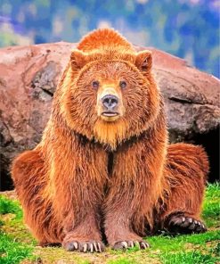 Brown Grizzly Bear paint by numbers