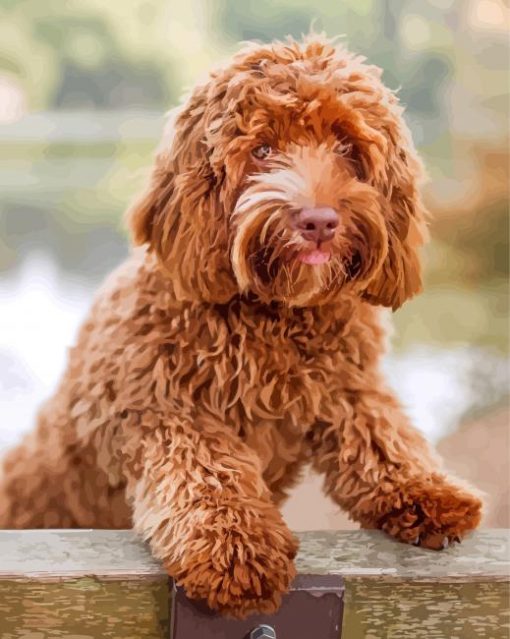 Brown Labradoodle paint by numbers