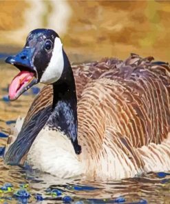 Canadian Goose paint by numbers