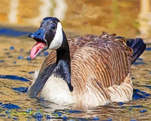 Canadian Goose paint by numbers