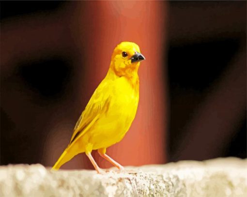 Canary Bird paint by numbers