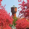 Cherry Blossom Wasserturm Elmshorn paint by number