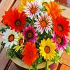 Colorful Gazanias paint by number