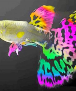 Colorful Guppy Fish paint by numbers