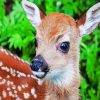 Cute Fawn paint by number