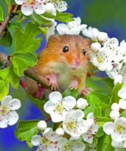 Cute Hamster With White Flowers paint by numbers