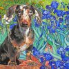 Dachshund And Irises paint by numbers