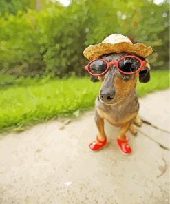 Dachshund With Sunglasses And Hat paint by numbers