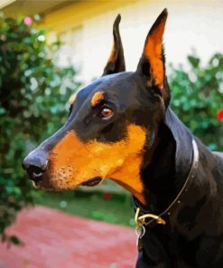 Doberman Pinscher Dog paint by number Breed paint by number