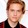 Dylan Sprouse paint by number