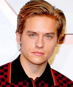 Dylan Sprouse paint by number