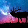 Elk Silhouette paint by number