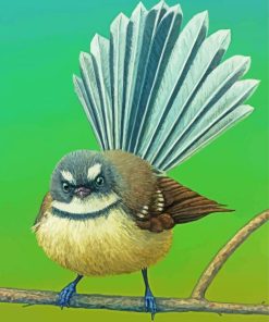 Fantail Bird paint by numbers