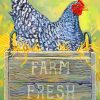 Farm Chicken Hen paint by numbers