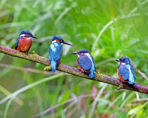 Four Kingfishers on Branch In Leeds paint by numbers