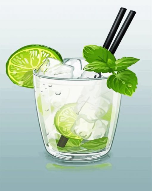 Fresh Drink Illustration paint by numbers