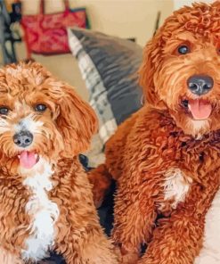 Goldendoodle Puppies paint by numbers