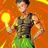 Gon Hunter X Hunter paint by numbers