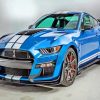 Gt500 Car paint by numbers