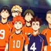 Karasuno Haikyuu paint by numbers