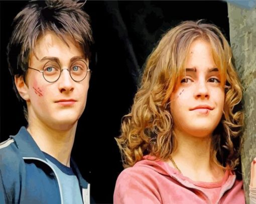 Harry Potter And Hermione paint by numbers