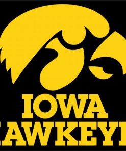 Hawkeyes Football paint by numbers