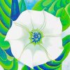 Jimson Weed Georgia O Keeffe paint by numbers