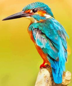 Kingfisher Bird paint by numbers