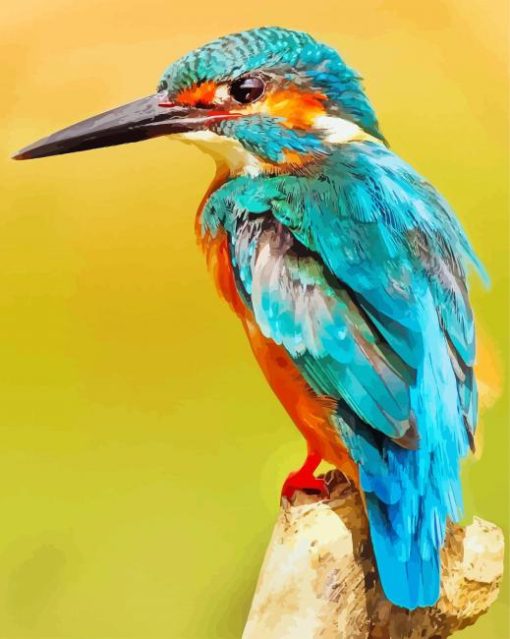 Kingfisher Bird paint by numbers