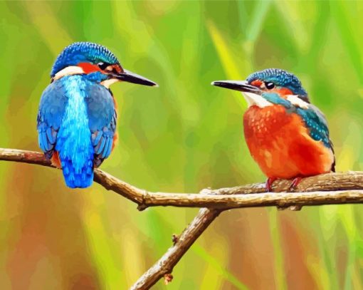 Kingfishers Birds paint by numbers