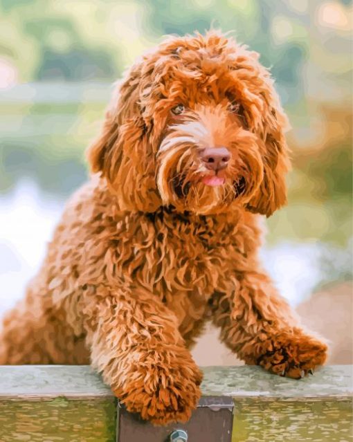 Labradoodle paint by numbers