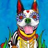 Mexican Dog paint by numbers