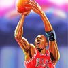 Michael Jordan Basketball paint by numbers