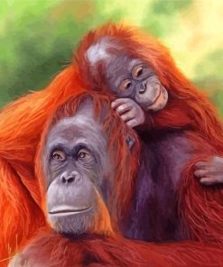 Orangutan Mother And Son paint by numbers