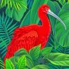 Red Ibis Bird paint by numbers