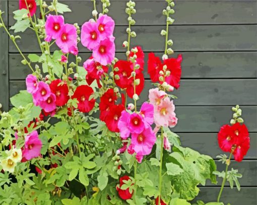 Red And Pink Hollyhocks Flowers paint by numbers