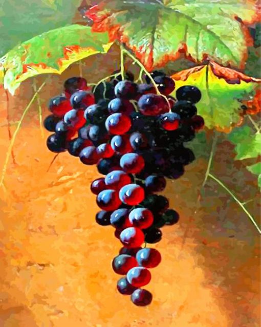 Red Grapes paint by numbers