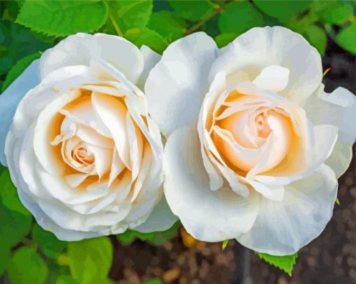 White Floribunda paint by numbers