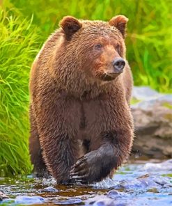 Wild Grizzly Bear paint by numbers