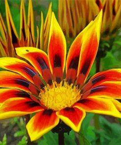 Yellow Gazania paint by numbers