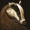 Aesthetic European Badger paint by numbers