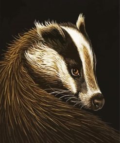 Aesthetic European Badger paint by numbers