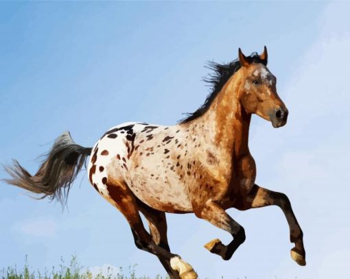 Appaloosa Horse Running paint by numbers