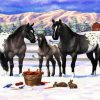 Appaloosa Horse In Snow paint by numbers