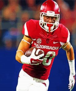 Arkansas Footballer paint by numbers