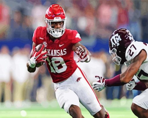 Arkansas Razorbacks Players paint by numbers