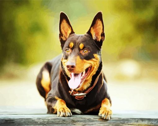 Australian Kelpie paint by number